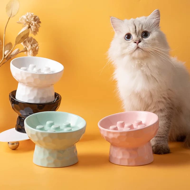 Ciotola per gatti in ceramica con piedini alti, anti-collisione, con bocca inclinata per proteggere il collo, ciotola per cibo lento per cani e gatti