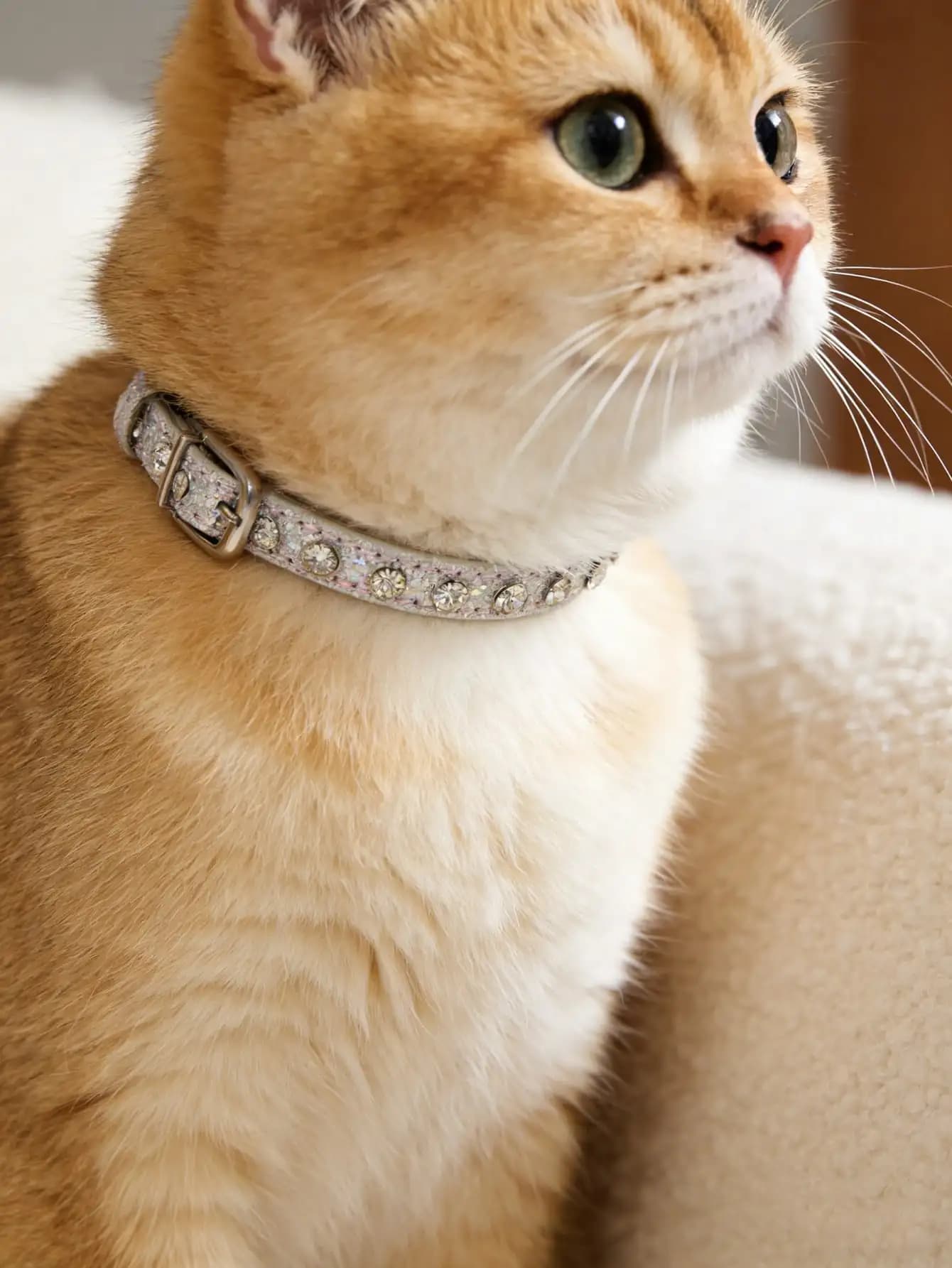 Collare per Gatti con Strass Luccicanti, Collare per Animali Domestici in Pelle PU con Fibbia Regolabile, Gioiello Scintillante con Cristalli per Cani Piccoli e Gatti
