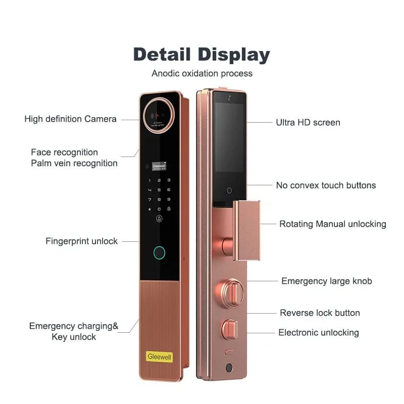 Fornitore dorato Tuya Wifi Smart Palm Vein 3D Riconoscimento facciale Porta con impronte digitali Serratura elettronica da infilare con fotocamera