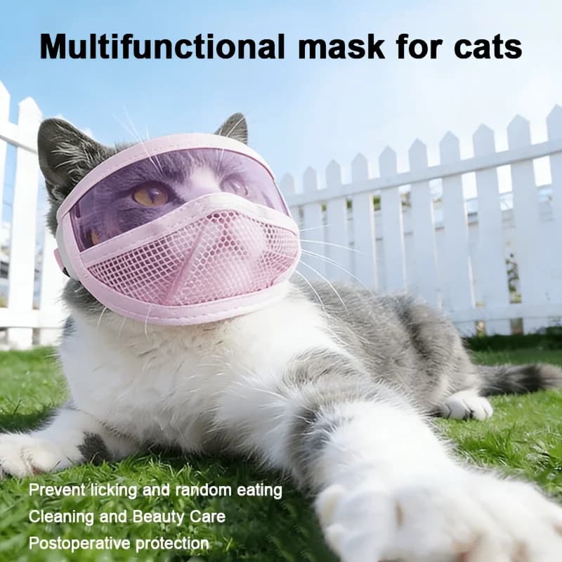 Transparent pet eye mask, cat grooming and cleaning face mask to prevent licking, biting and barking, breathable design.