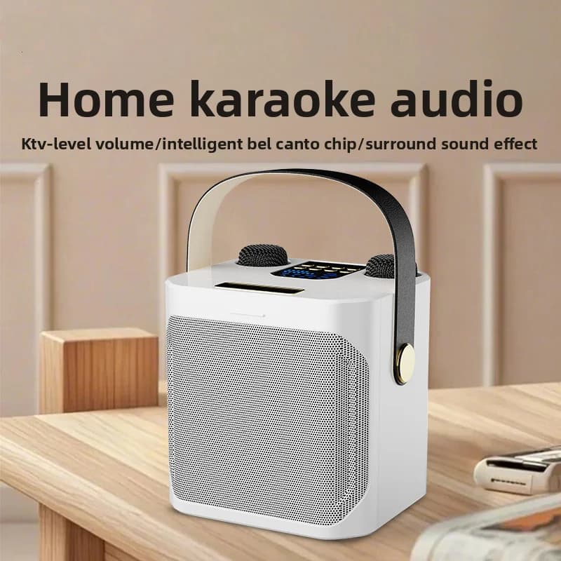 Karaoke Machine with 2 Wireless Microphones Bluetooth Speaker Portable Design for Home Party Camping & Family Fun
