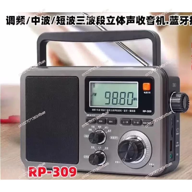 Radio Digitale Portatile RP-309 con Demodulazione DSP/Altoparlante Bluetooth/Lettore Digitale