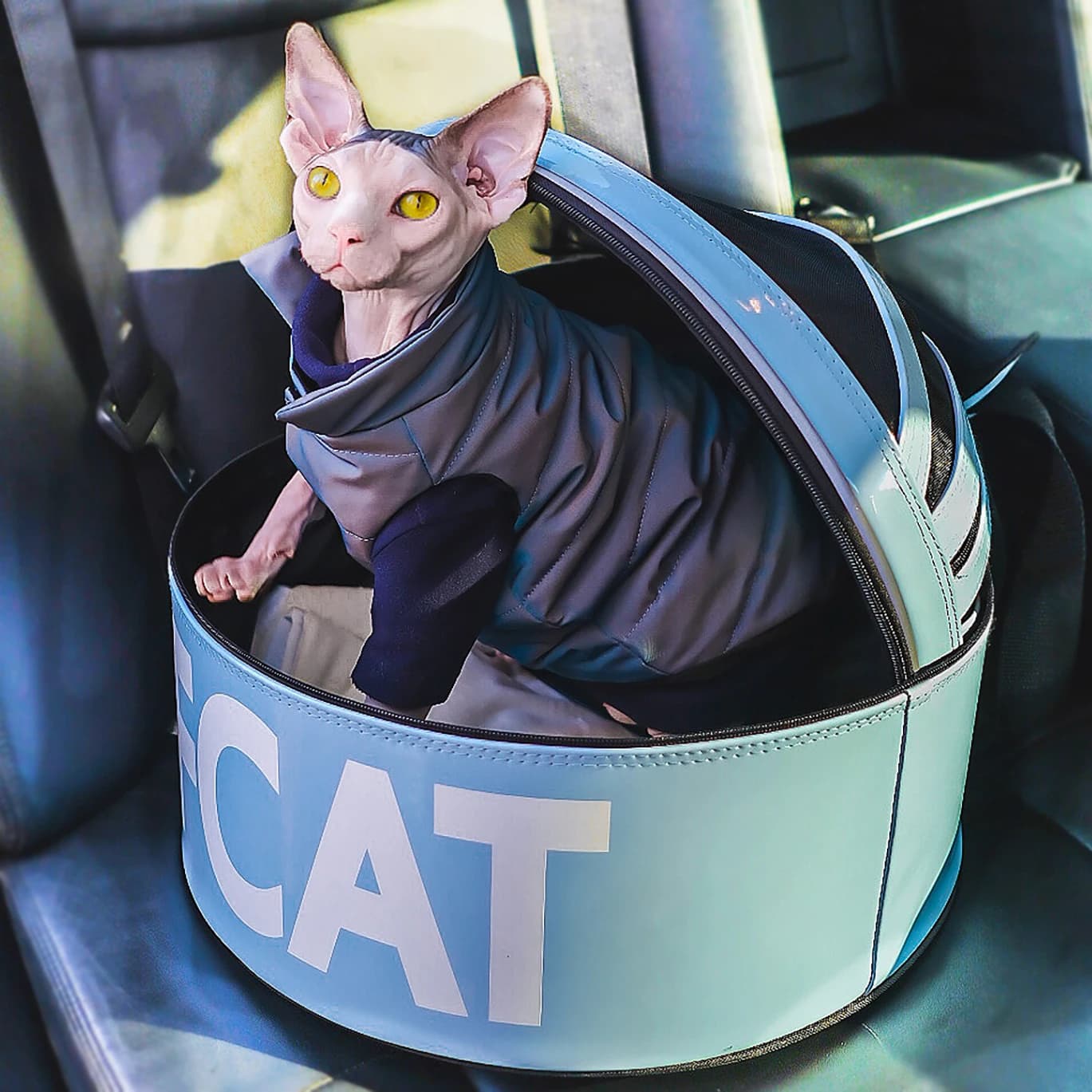 Borsa per seggiolino auto per letto per animali domestici Mobile medio EFCAT, trasportino per cani da viaggio per gatti