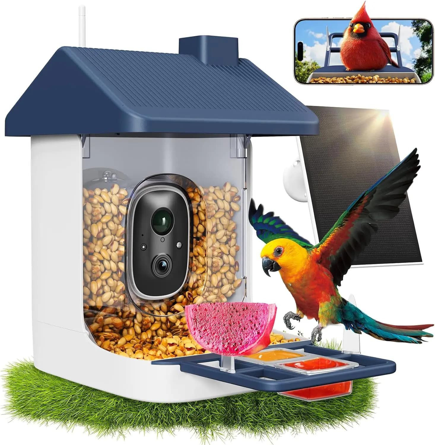 Eaten for Intelligent Solar Energy Birds with 2K Camera, AI Bird Identification and Istantane Notices for Open Birdwatching