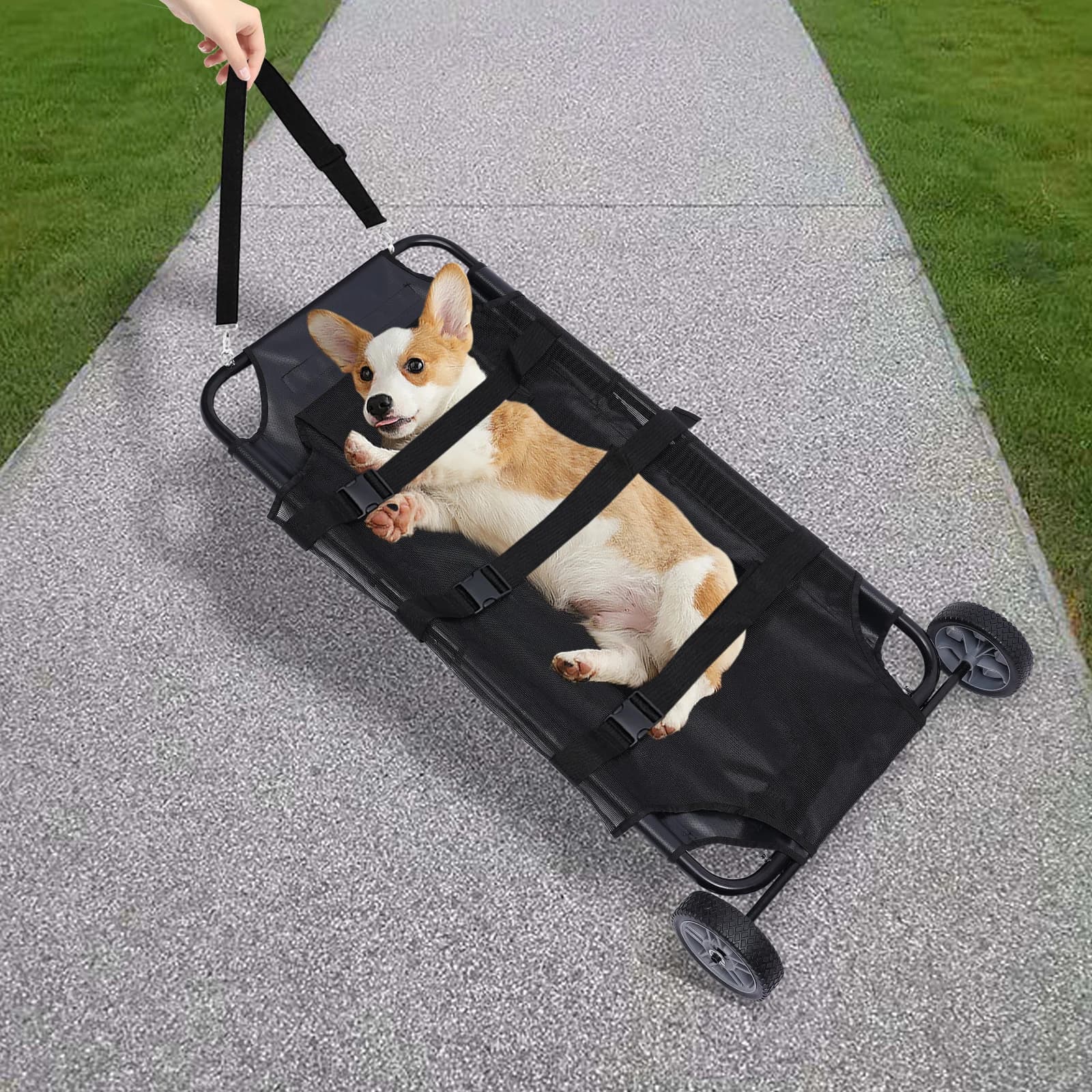 (Nero) Carrello per barella per animali con ruote, barella per animali da trasporto per animali domestici per animali feriti o anestesisti, fino a 110 libbre