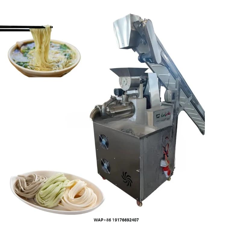 Macchina per Fare la Pasta di Riso, Produttore di Noodles Freschi Multifunzionale per Ristoranti Vietnamiti