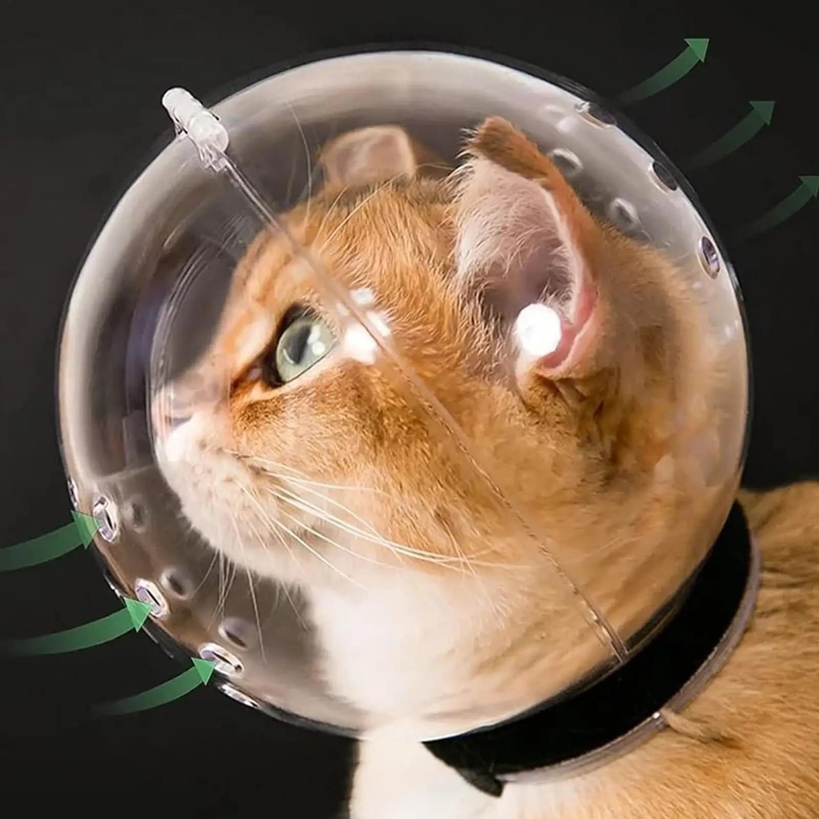 Maschera per museruola robusta e traspirante Copritesta per gatti Cappuccio spaziale Casco protettivo per gattini a forma di palla Forniture per toelettatura animali anti-morso