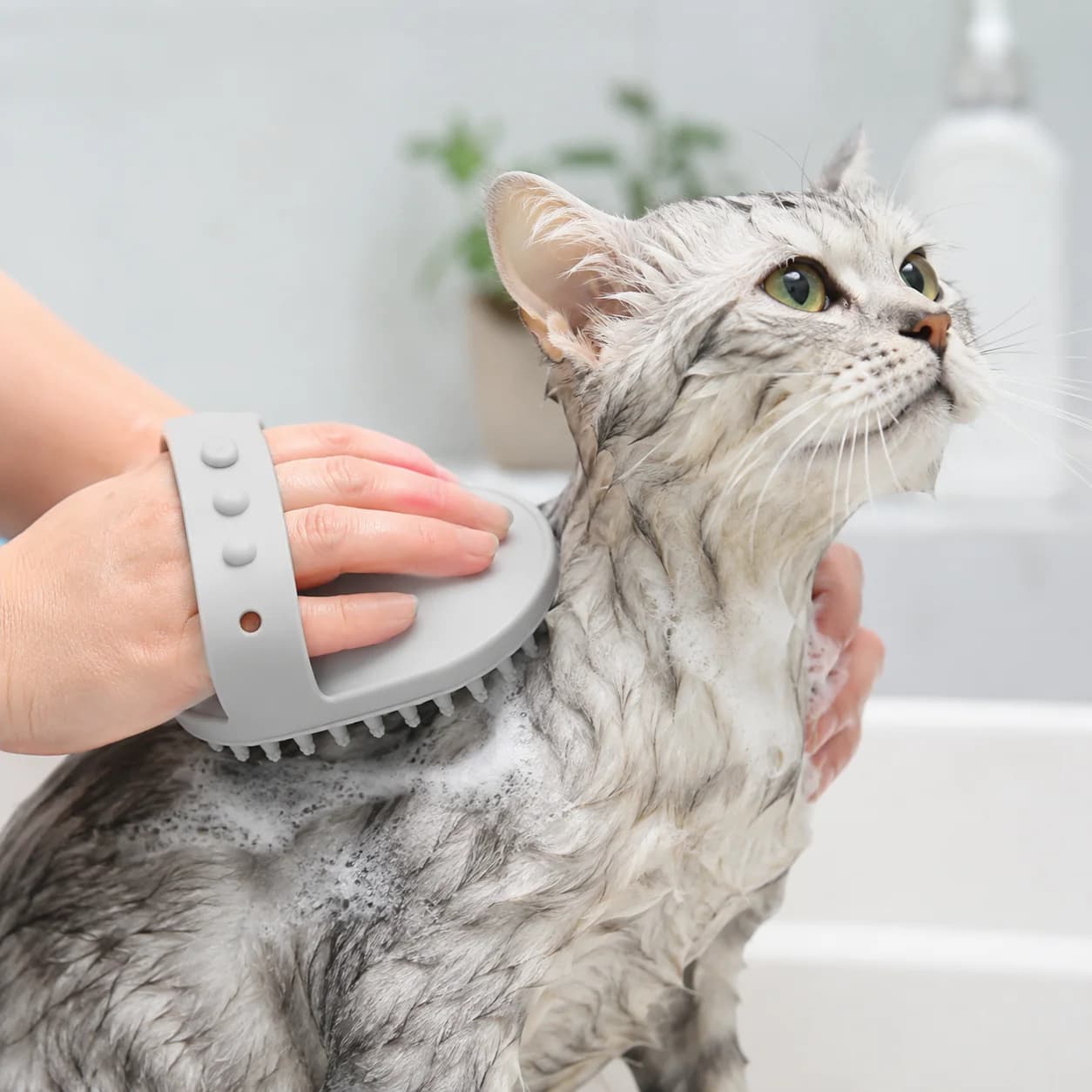 "Pet Bath Brush Silicone Grooming Massage Brush Soft Dog Cat Shampoo Scrubber Shedding Cleaning Comb "