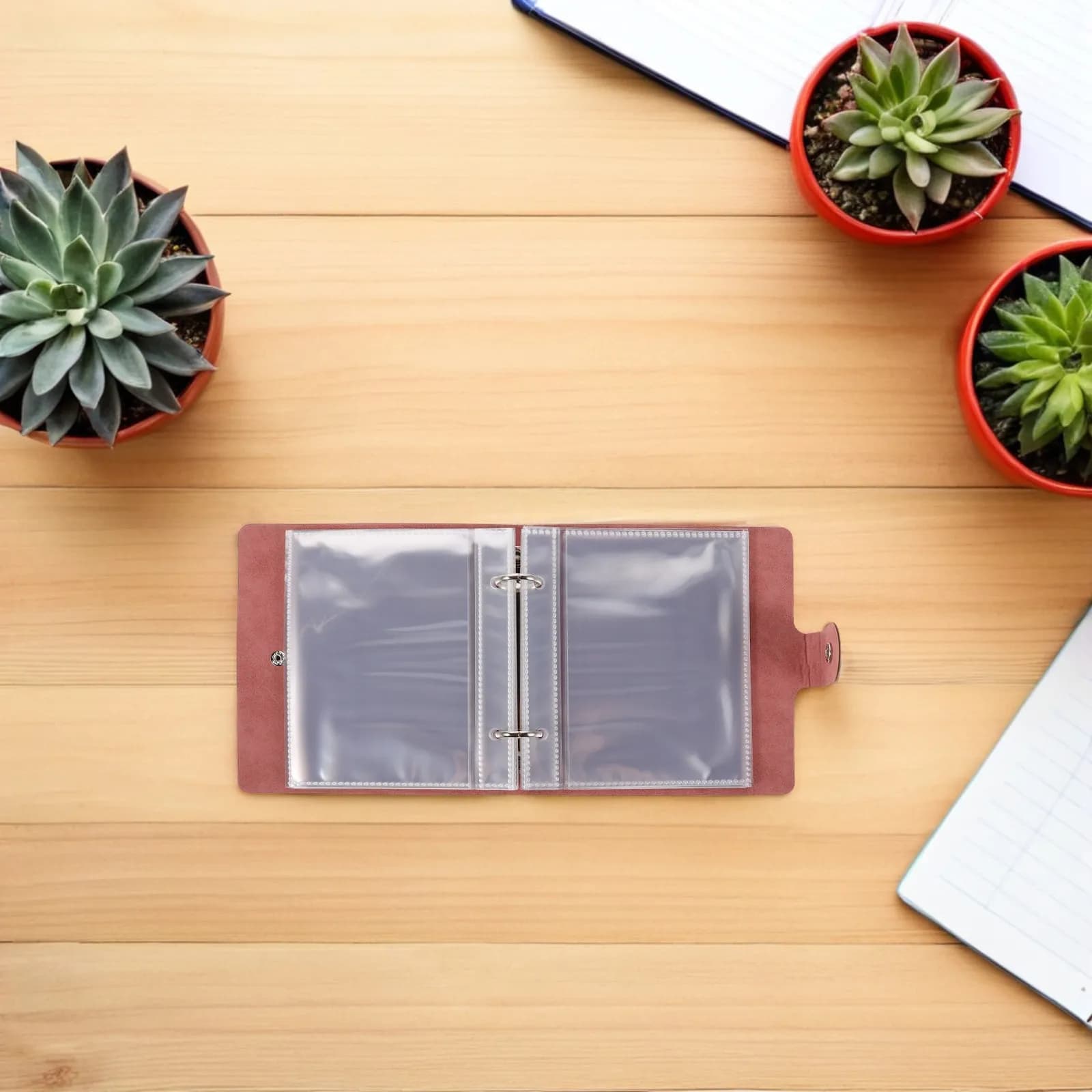 Set Organizzatore per Semi da Giardino, Libro Porta Sementi con 25 Tasche Trasparenti e 50 Buste in Carta Kraft per Fiori