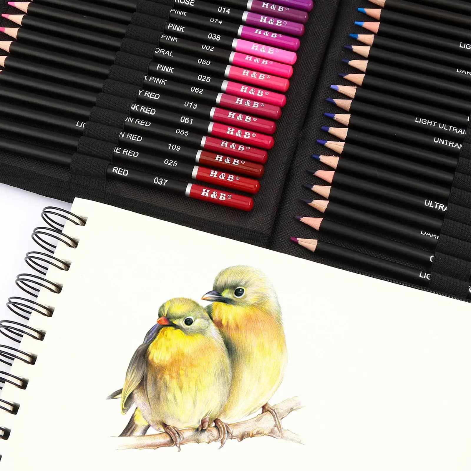 Sketch Charcoal Pencils Full Set Premium Multicolor Drawing Tools for Artistic Design and Portrait