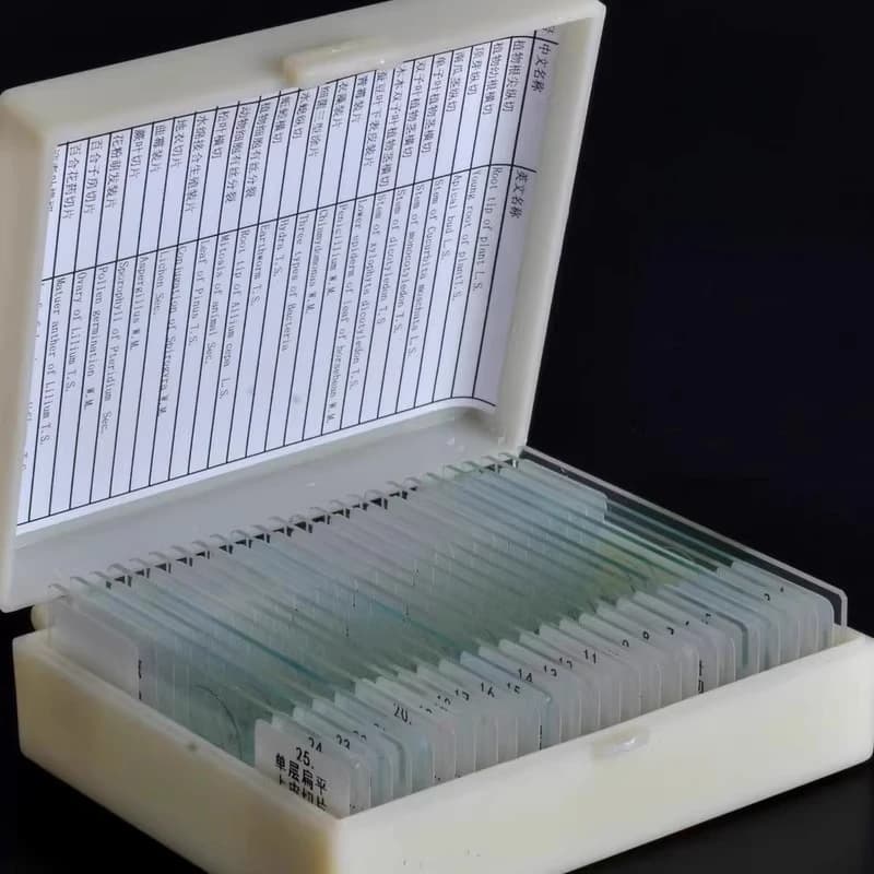 Glass Slides Prepared Microscope Slides with Shockproof Box for Kids' Science Experiments Biological Microscope