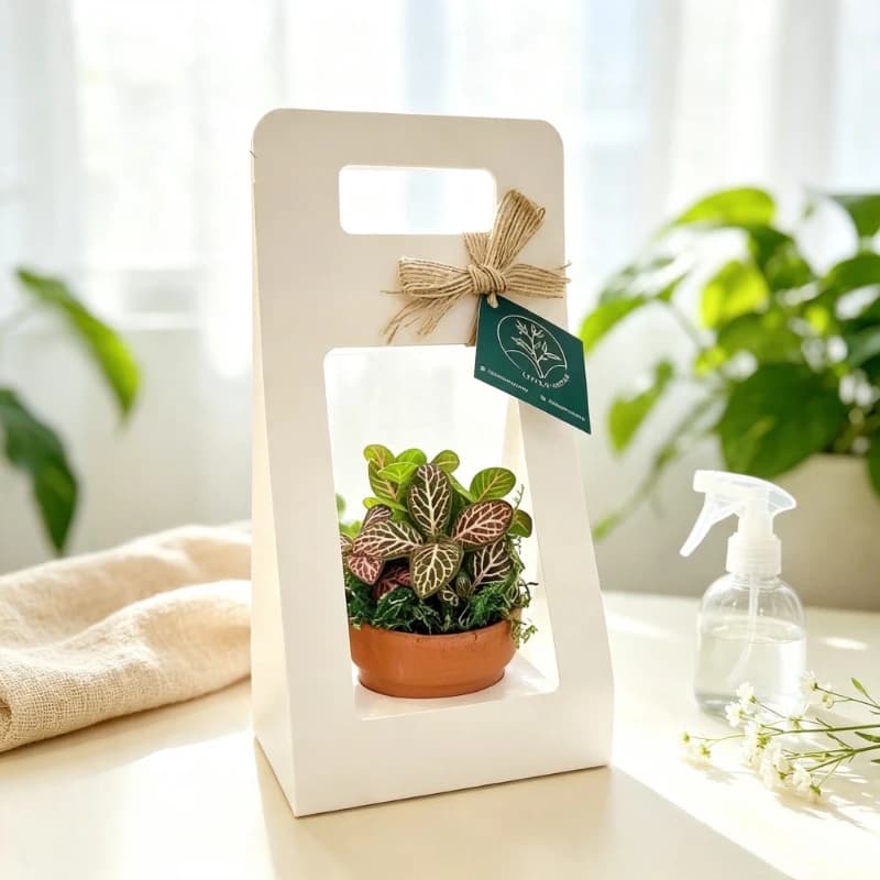 2pcs Plant Gift Box with Handle White Kraft Potted Plant Carrier Clear View Flower Pot Packaging Tote for Succulent Gifting