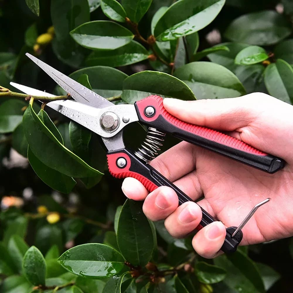 Garden equipment Forbici Taglierina pruning shears Garden supplies Fruit harvesting Hand tools for domestic bonsai Gardening scissors