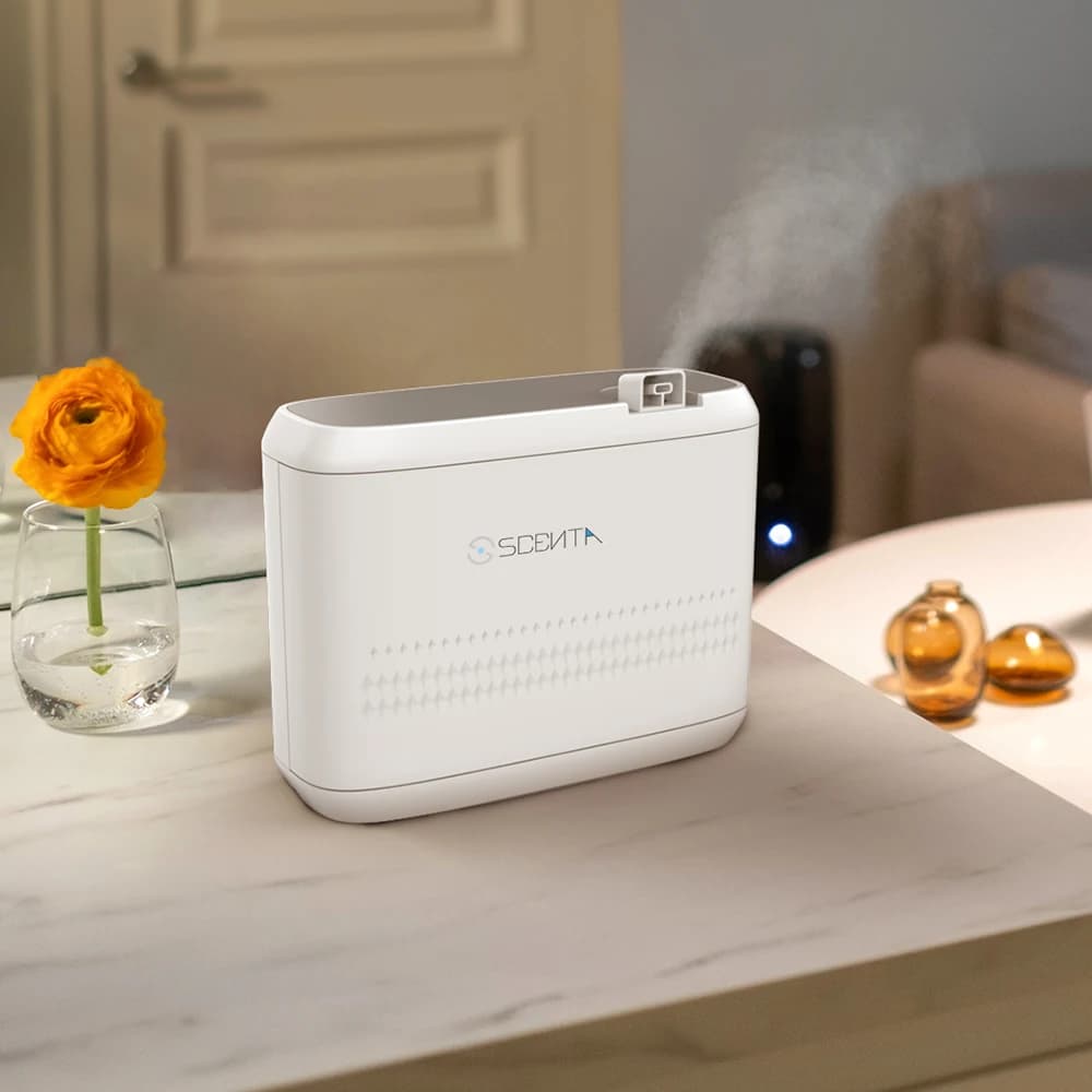 SCENTA Macchina profumata ecologica in plastica commerciale per purificatore d'aria con diffusore di aromi da tavolo touch screen OEM personalizzato HVAC
