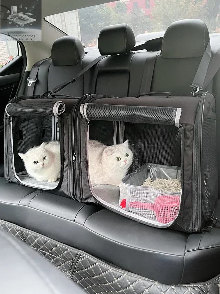 Lettiera per gatti per auto Gabbia piccola Sedile per animali domestici Tenda pieghevole portatile ag