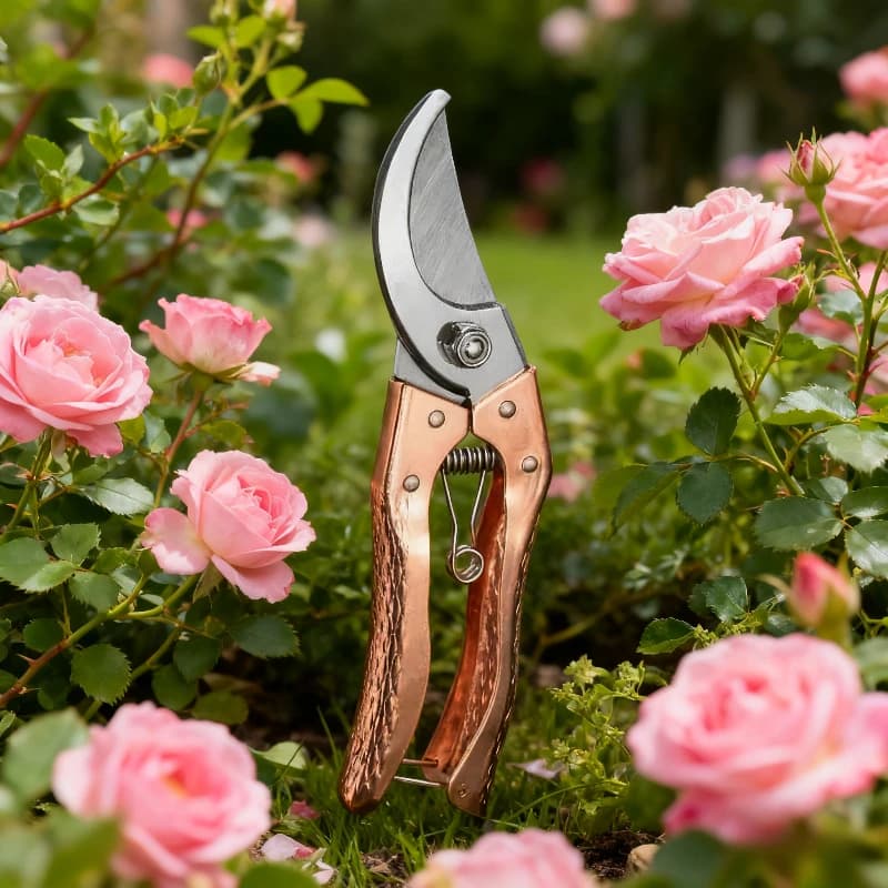 Pruning shears Fort shears for fruit trees Garden scissors Often copper flower shears Tools and garden equipment Bonsai tools