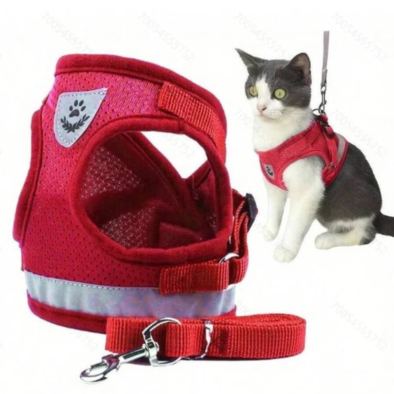 Pettorina per gilet per cani con guinzaglio abbinato Set imbracatura per animali domestici regolabile riflettente in poliestere rete traspirante