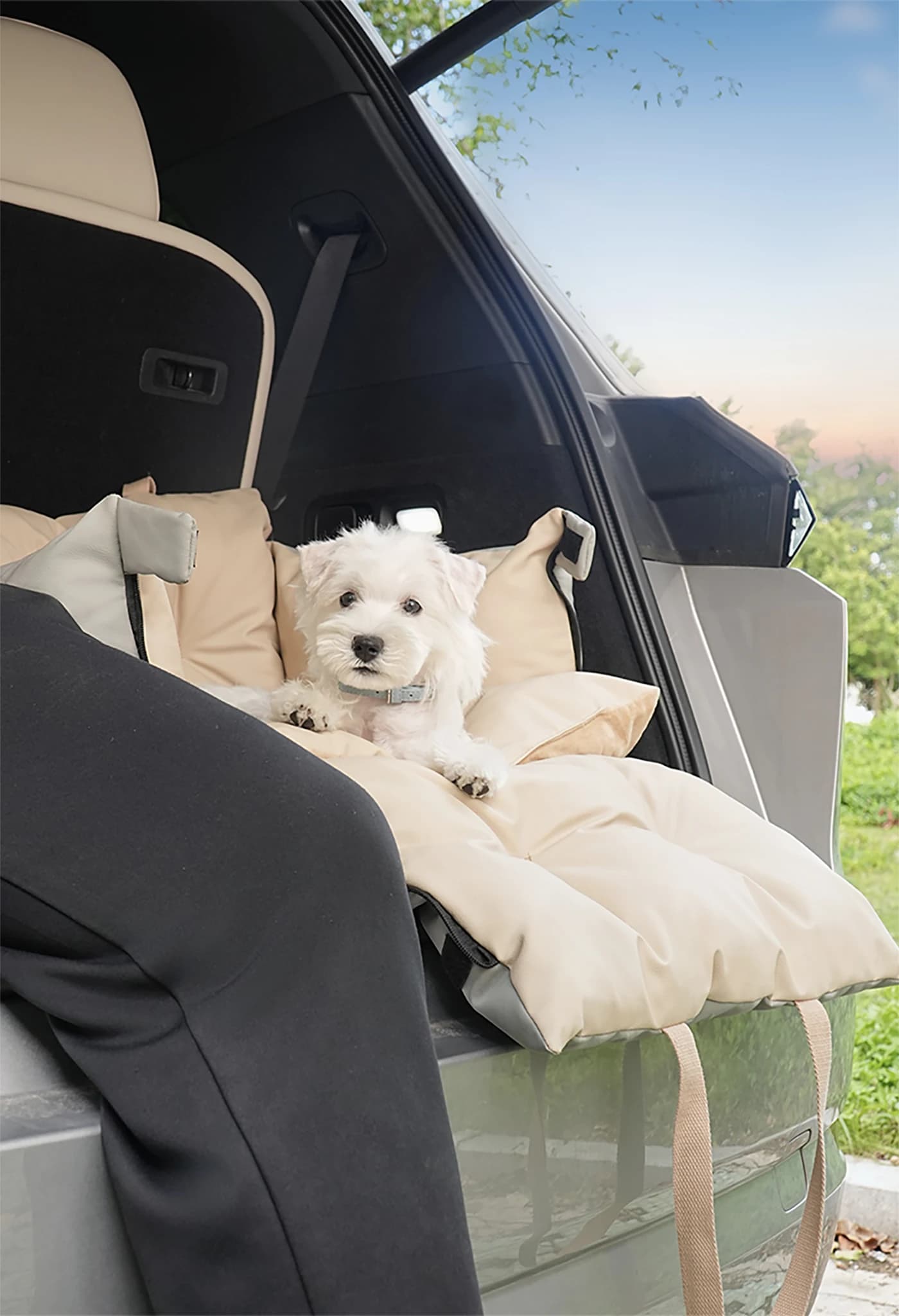 Letto per cani da viaggio - Seggiolino/tappetino portatile antigraffio per auto per animali domestici, elementi essenziali per la sicurezza per i viaggi all'aperto dei cani