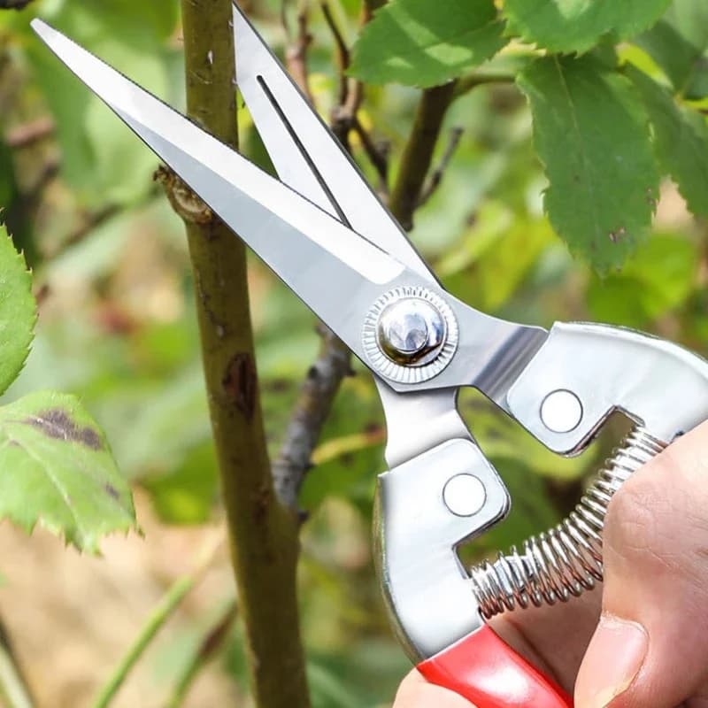 Professional Stainless Steel Garden Scissors, Potential Shears, Fruit Harvest Tool for Home Gardening