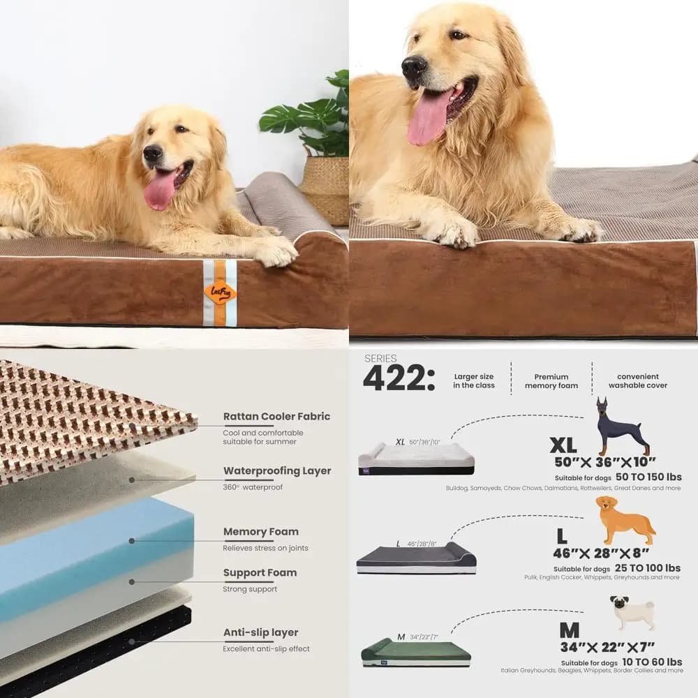 Letto Ortopedico Grande in Schiuma per Cani - 50x36x10 Marrone, Impermeabile e con Rivestimento Rimovibile