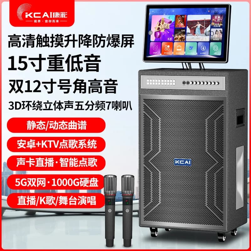 Macchina Karaoke All-in-One per Casa, Altoparlante per Danza di Gruppo, Audio Portatile per Esterni con Bassi Potenti e Schermo Rotante