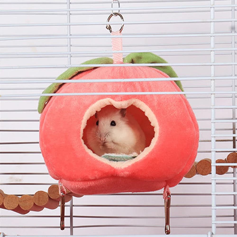 1 Nido Piece for Fruit Formed Crices, Warm for Winter and Autumn, Suspended Roof for Small Domestic Animals, Sugar Glider, Birds, Golden Groceries
