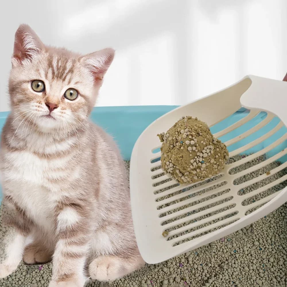 Cat Litter Shovel Plastic Cat Toilet Litter Sand Shovel Pet Toilet Cleanning Tool Kitten Litter Scoop Pet Supplies
