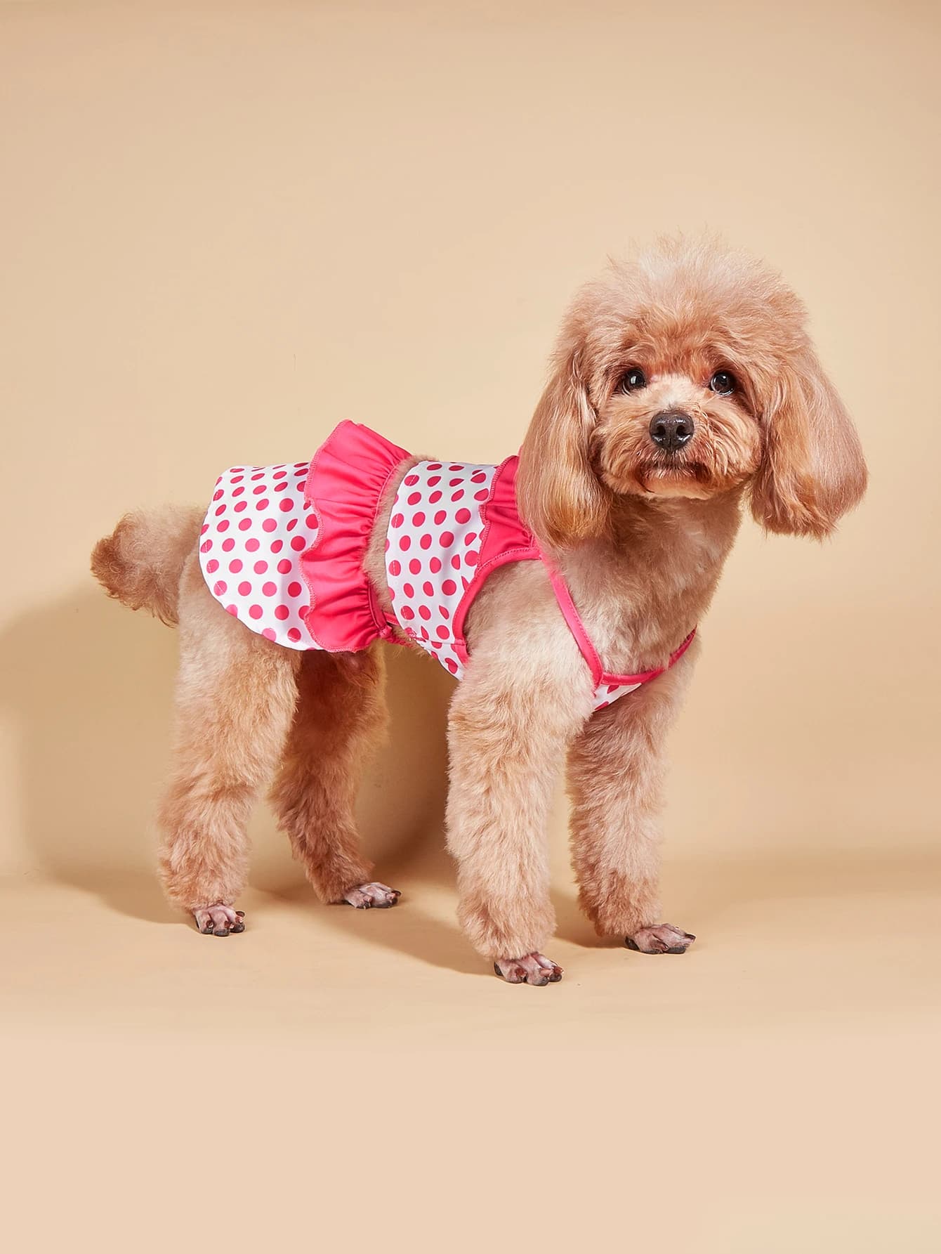 Dog Dress for Small Dogs Cool Costume Polka Dots Puppy with Doggie Pet Clothes Swimwear Ruffle Apparel for Dogs Cats Spring Sum
