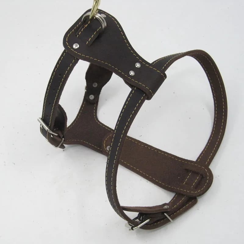 Pettorina per cani in pelle di lusso fatta a mano, pettorina regolabile a forma di Y per animali domestici, collare da passeggio classico per cani in pelle di vacchetta, cane di grandi dimensioni