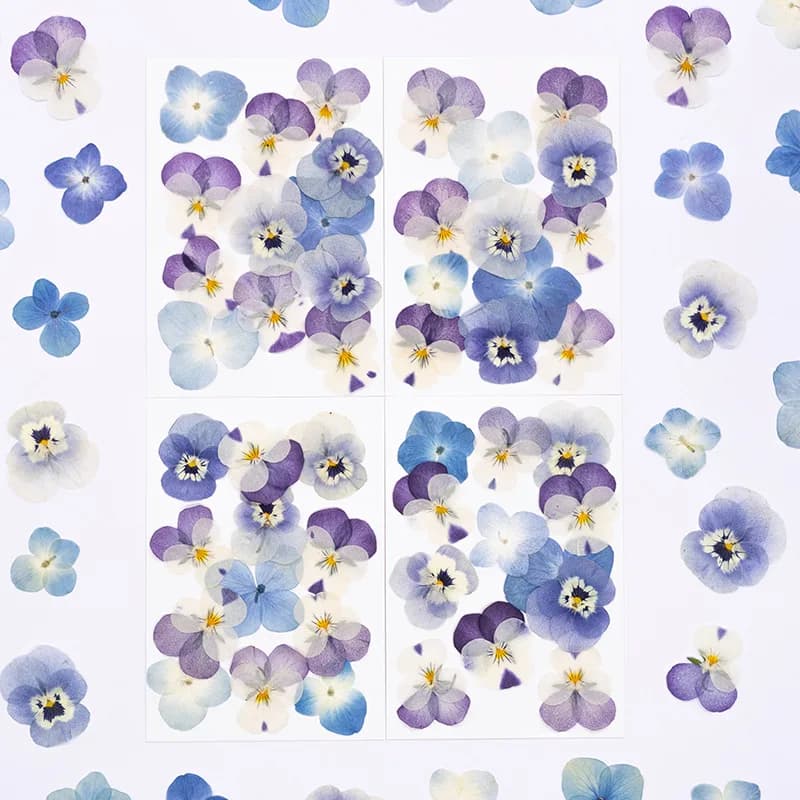 12pcs,Real Viola Cornuta Pressed Dried Flowers Natural Petals DIY Face Makeup Resin Bookmarks Candle Craft Decor Supplies