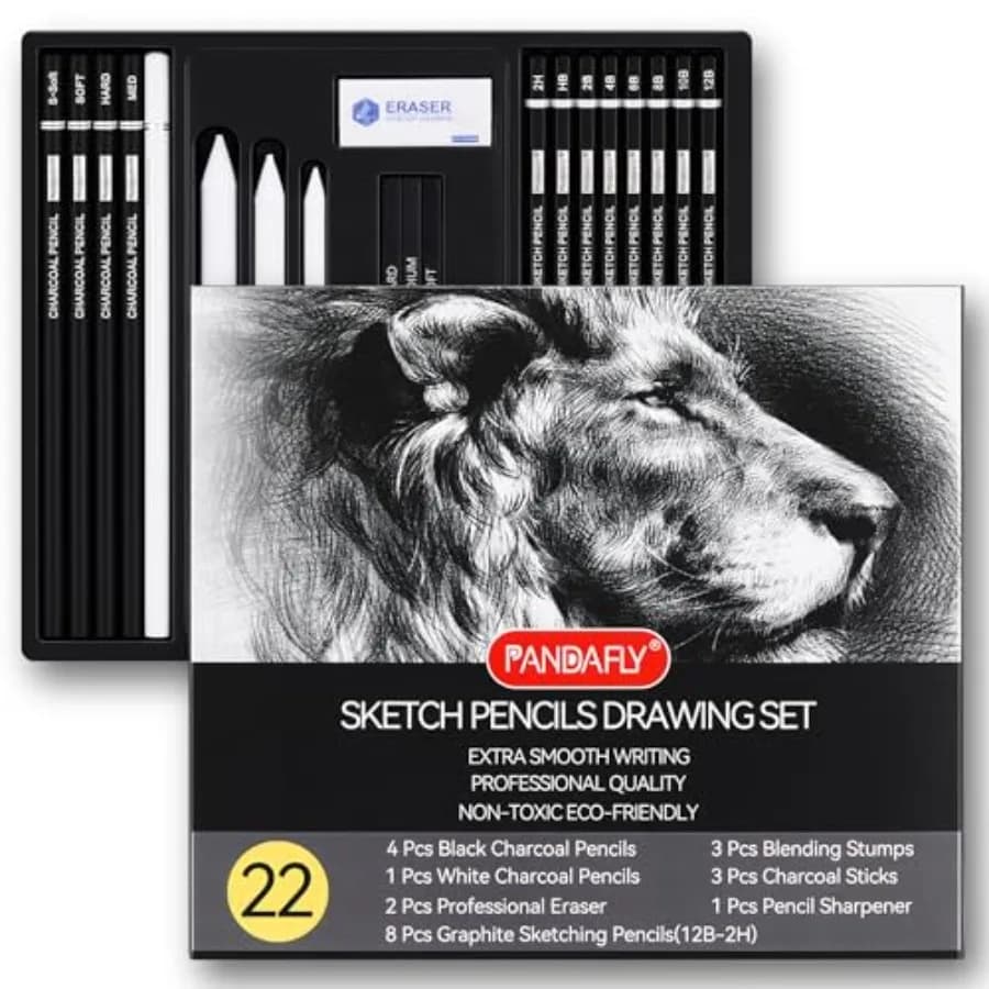 Drawing Sketching Pencil Set, Pcs Pro Art Pencil Kit - Graphite Pencils B-2H,Black and White Charcoal Pencils, Charcoal Sticks,