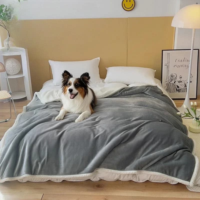 Waterproof Blanket for Bed Reversible Leakproof Bed Cover for Pets Adults Elderly ,Sofa Couch, Water Resistant Blanket Thick