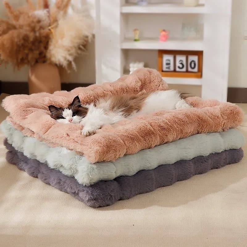 Coperta invernale calda e addensata per animali domestici Tappetino universale per gatti per tutte le stagioni Tappetino per cani morbido e confortevole in tinta unita Forniture per animali domestici