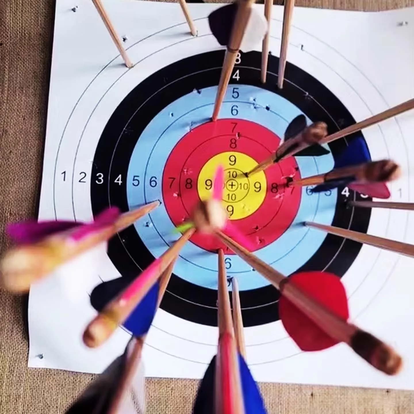 Bersaglio per Tiro con l'Arco 40cm 60cm 80cm, Anello Completo per Competizioni, Carta Opaca Spessa per Pratica all'Aperto/Al Chiuso