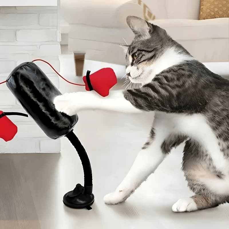 Interactive Cat Punching Bag Toy Freestanding Kitten Play Gym Stress Release Durable Scratch Training Entertainment Supplies