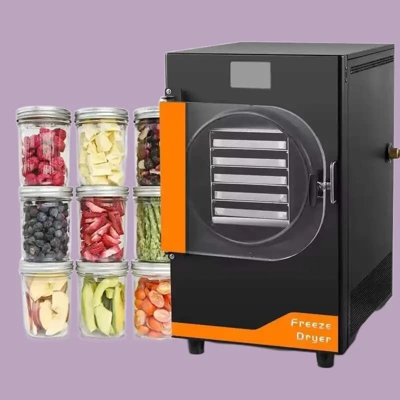 Liofilizzatore sottovuoto per alimenti Liofilizzatore per frutta secca Attrezzatura per liofilizzazione domestica in vendita