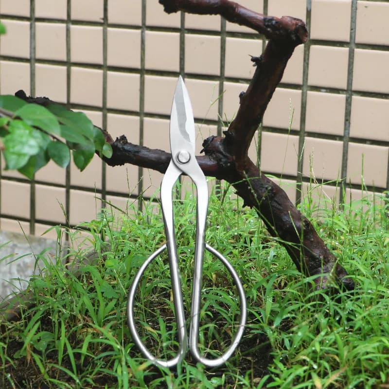 Garden shears entirely made of steel, foliage, sprouts, flower shears, bonsai shears for domestic flowers, foliage, leaves sprouts