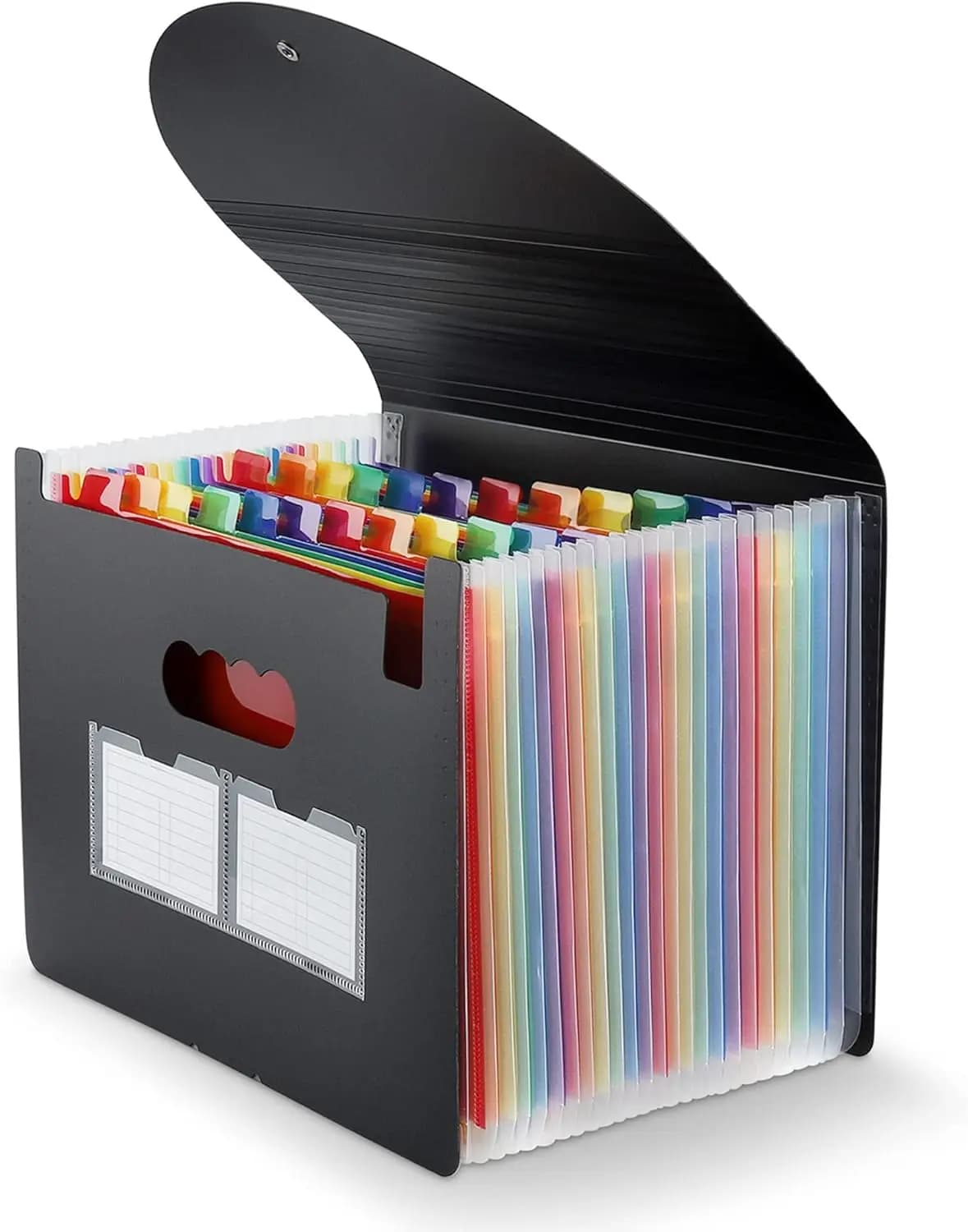 Cartella Portadocumenti Espandibile, Organizzatore con 24 Tasche Formato A4/Letter con Linguette Colorate, Portadocumenti Portatile - Nero