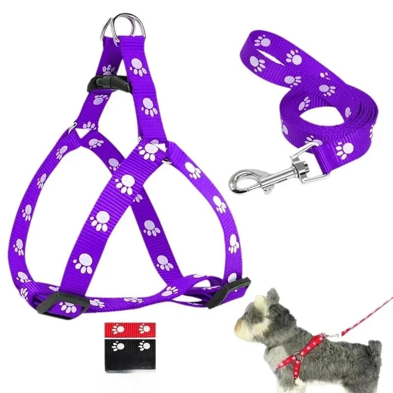Cute Paw Print Dog Harness And Leash Set - Adjustable Nylon Step-in Design for Comfortable Walking Exclusive Offer