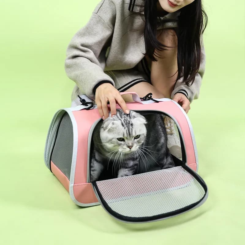 Gita per animali domestici Borsa portatile per cani e gatti Borsa da trasporto estiva traspirante Borsa da viaggio per cuccioli di gattino Borsa a tracolla singola Borsa da trasporto per animali domestici
