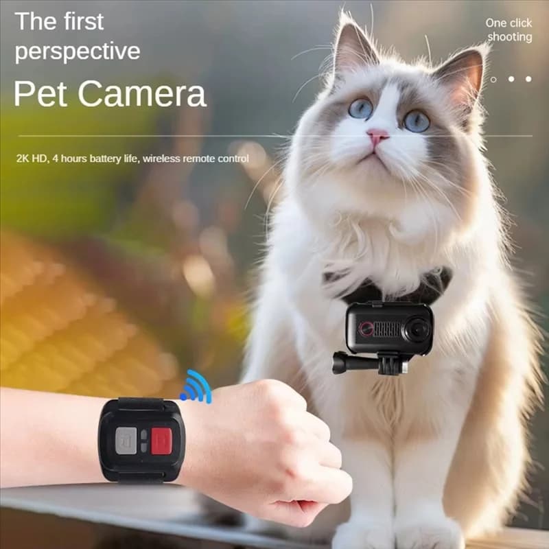 A92Z 2K Collare per animali domestici Telecamera WIFI, Controllo APP Video Foto Gatti Cani Registratore VLOG esterno/interno Batteria a lunga durata 1200Mah