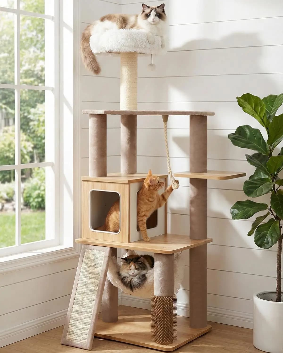 Torre per Gatti Moderna da 61 Pollici per Gatti da Interno, Struttura di Lusso con Divano Morbido, Amaca e Tiragraffi