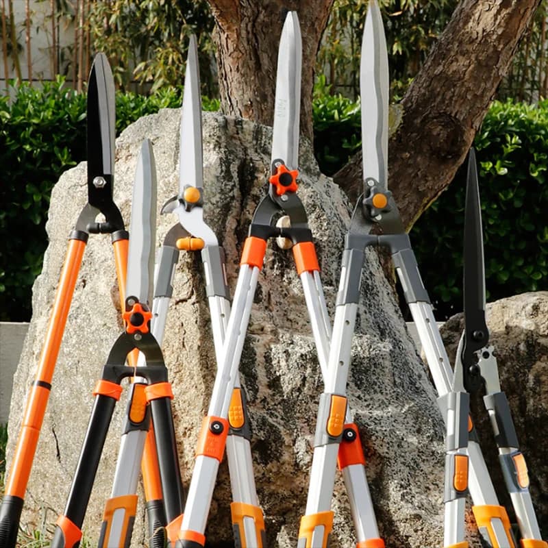 Cesoie da giardino Forbici da potatura da giardino per alberi da frutto Forbici da giardinaggio Greening Attrezzi da giardino Cesoie da potatura per recinzione Utensile manuale durevole