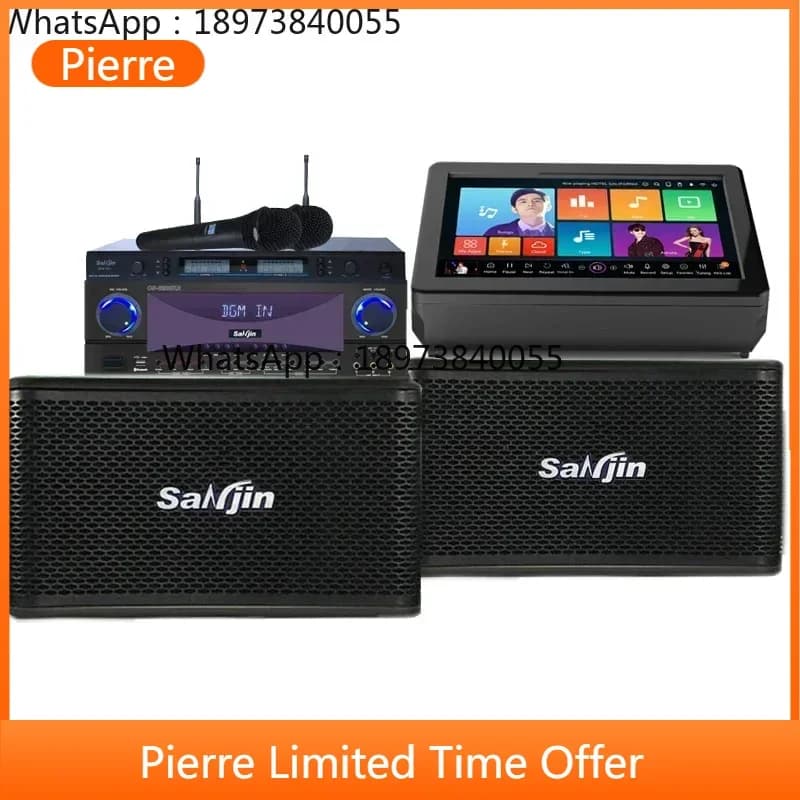Macchina per sistema karaoke KTV 2020 Edition Amplificatore di potenza del sistema e lettore di microfoni wireless con altoparlante professionale