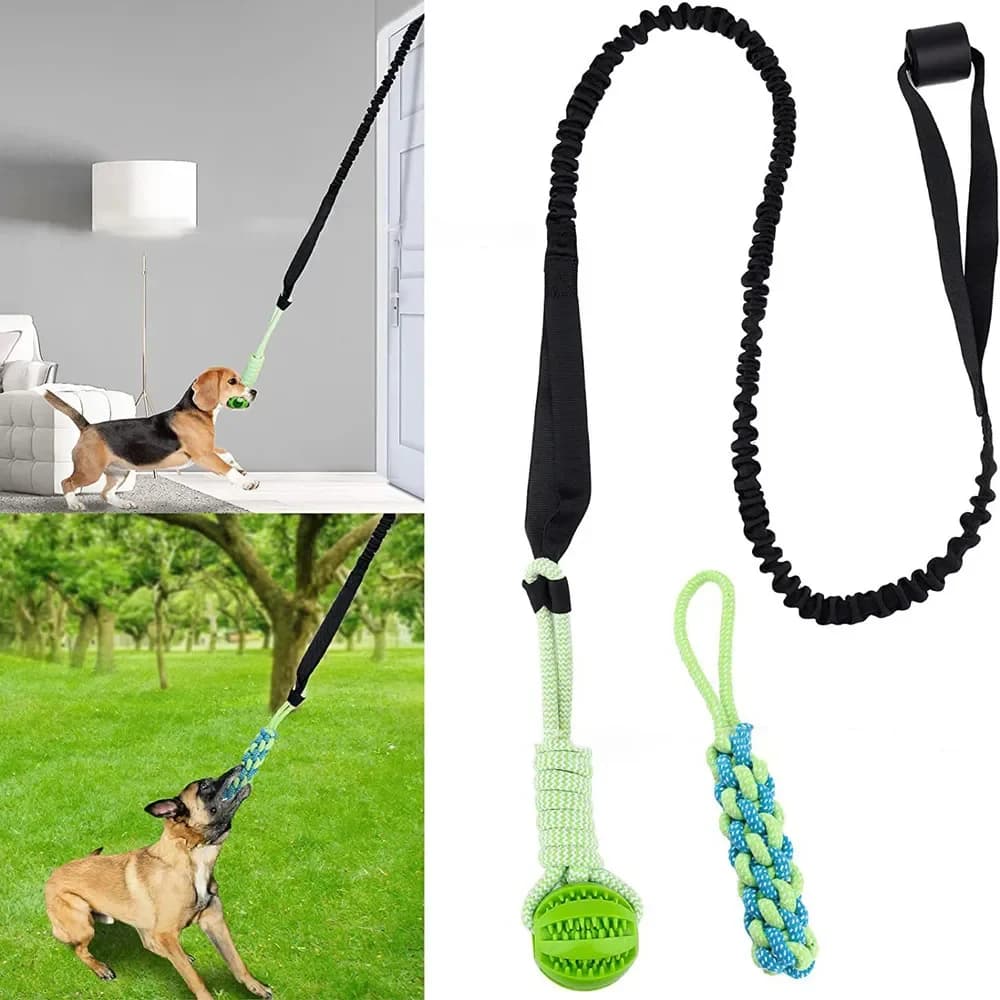 Interactive Toy for Dogs Tug of War Spring Corda Dogs Exterior and Interior Hanging Pull rope Ball Puppy Molding Teeth Cleaning Chewing Toys