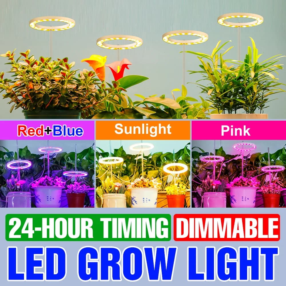 Luci LED per Coltivazione Indoor a Spettro Completo per Verdure, Frutta, Semi e Piante in Vaso, Lampada USB DC5V Dimmerabile con Funzione Timer