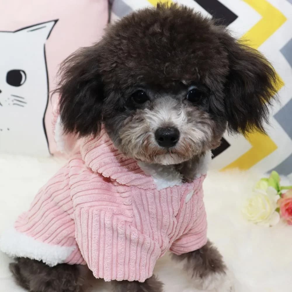 Cappotto per cani con design a coniglio, caldo per l'inverno, con cappuccio, in morbida pelliccia, giacca per cuccioli, abbigliamento per Chihuahua