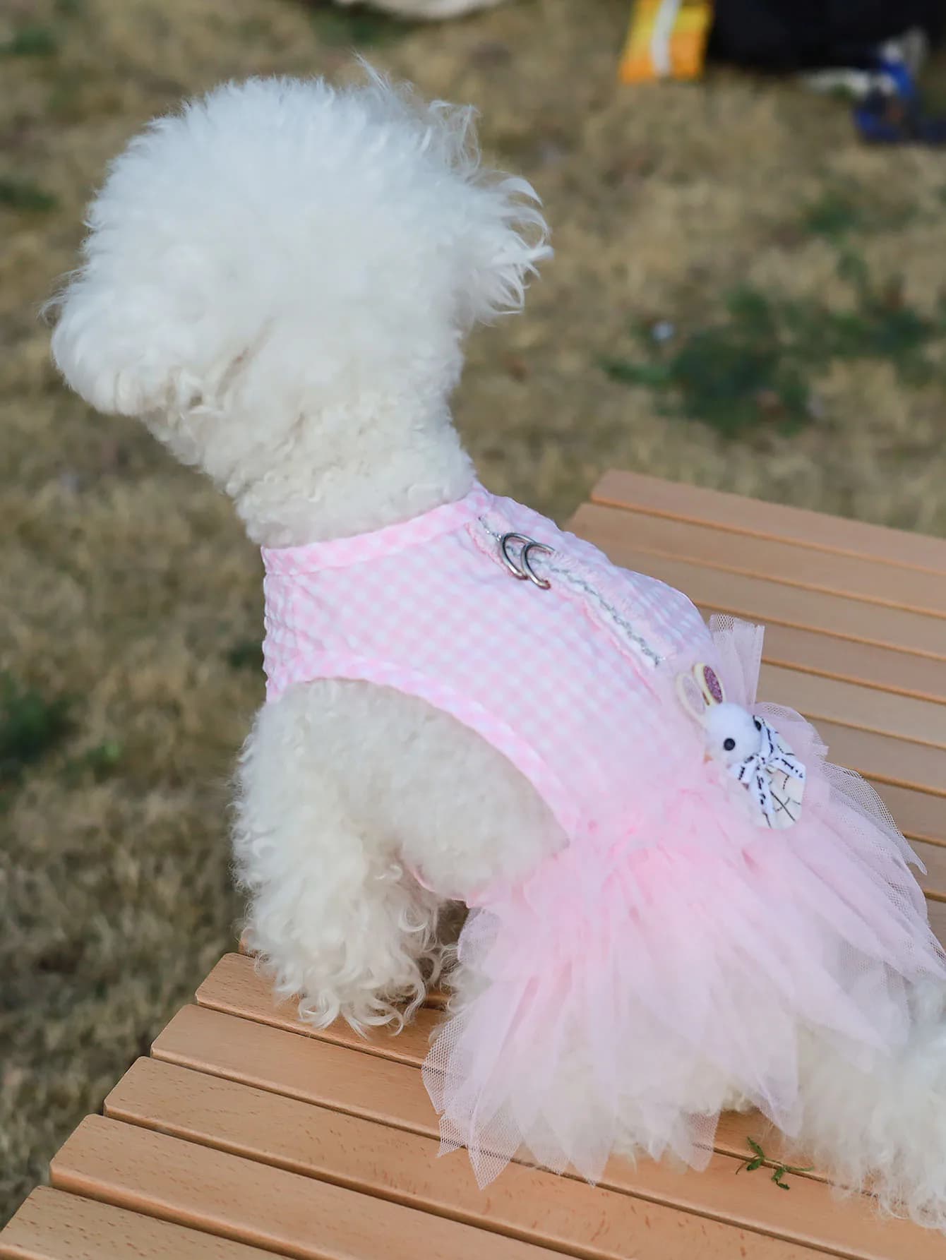 Con guinzaglio abbinato, gonna da principessa per cani, vestiti sottili per animali domestici per la primavera e l'estate, abito con guinzaglio stile canottiera, abbigliamento alla moda estivo