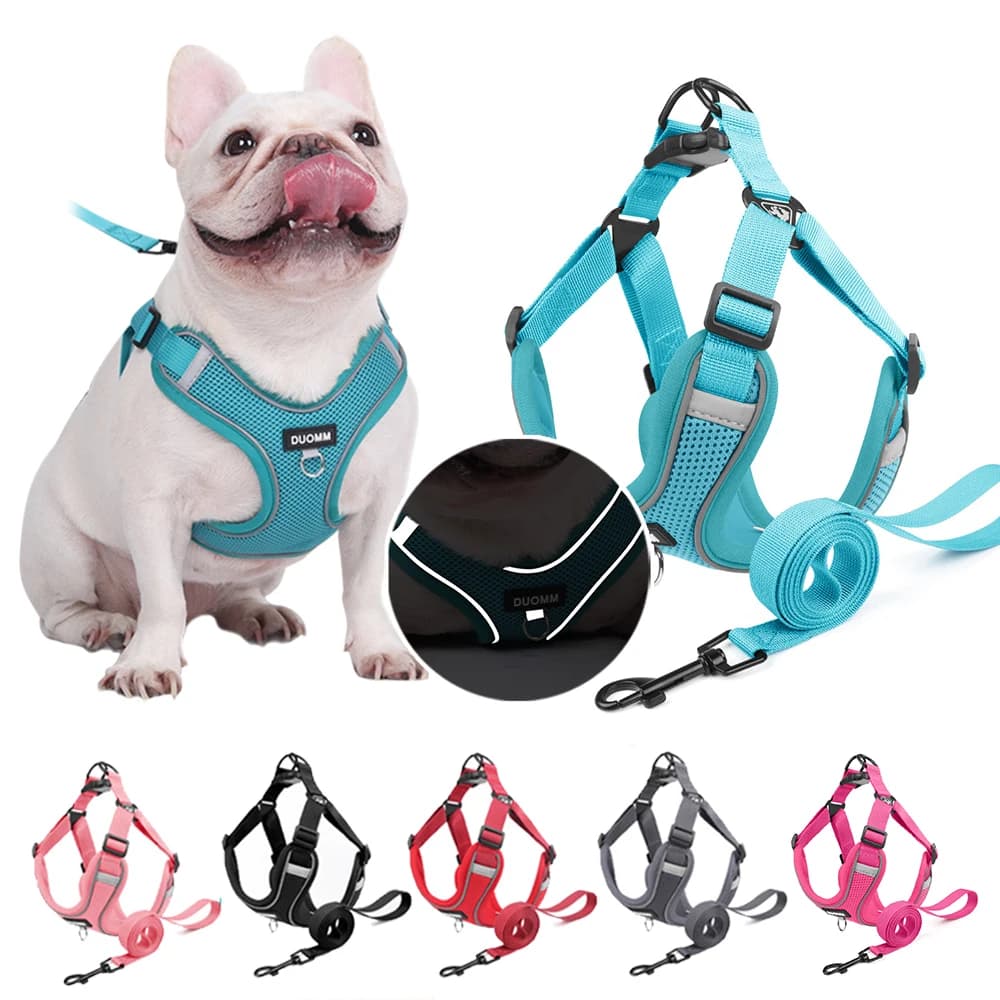 Set di pettorina e guinzaglio classici per cani, pettorina in rete traspirante e confortevole per tutte le razze di cani, pettorina regolabile e riflettente.