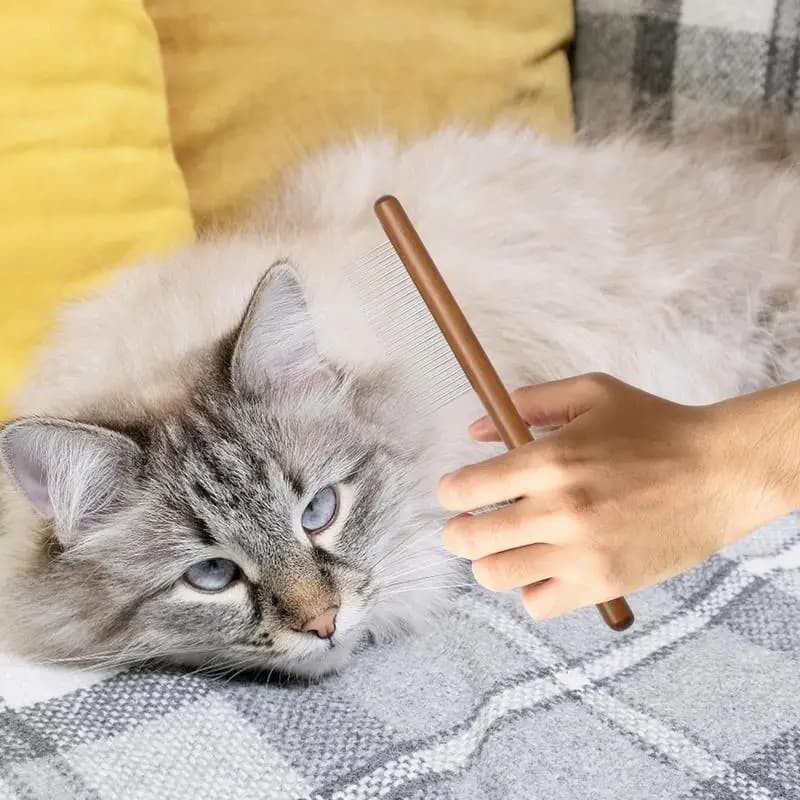 Pettine per toelettatura per gatti Dispositivo per la rimozione dei peli del cucciolo Strumento per toelettatura compatto portatile leggero per animali domestici per cuccioli Gattini Criceti